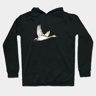 Tundra Swan Hoodie